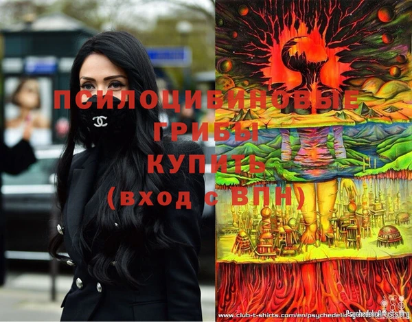 стафф Кодинск