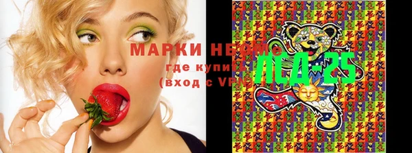 стафф Киренск