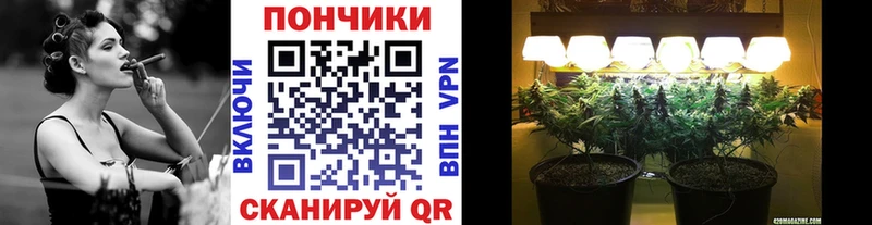 хочу наркоту  Кириллов  Шишки марихуана индика 